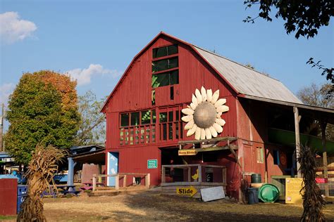 Cox farm - History The story of how our family started Cox Farms and how it grew to be what it is today. The Cox Farms StoryEric and Steven Cox found Cox Farms on 40 acres near Herndon, Virginia. …